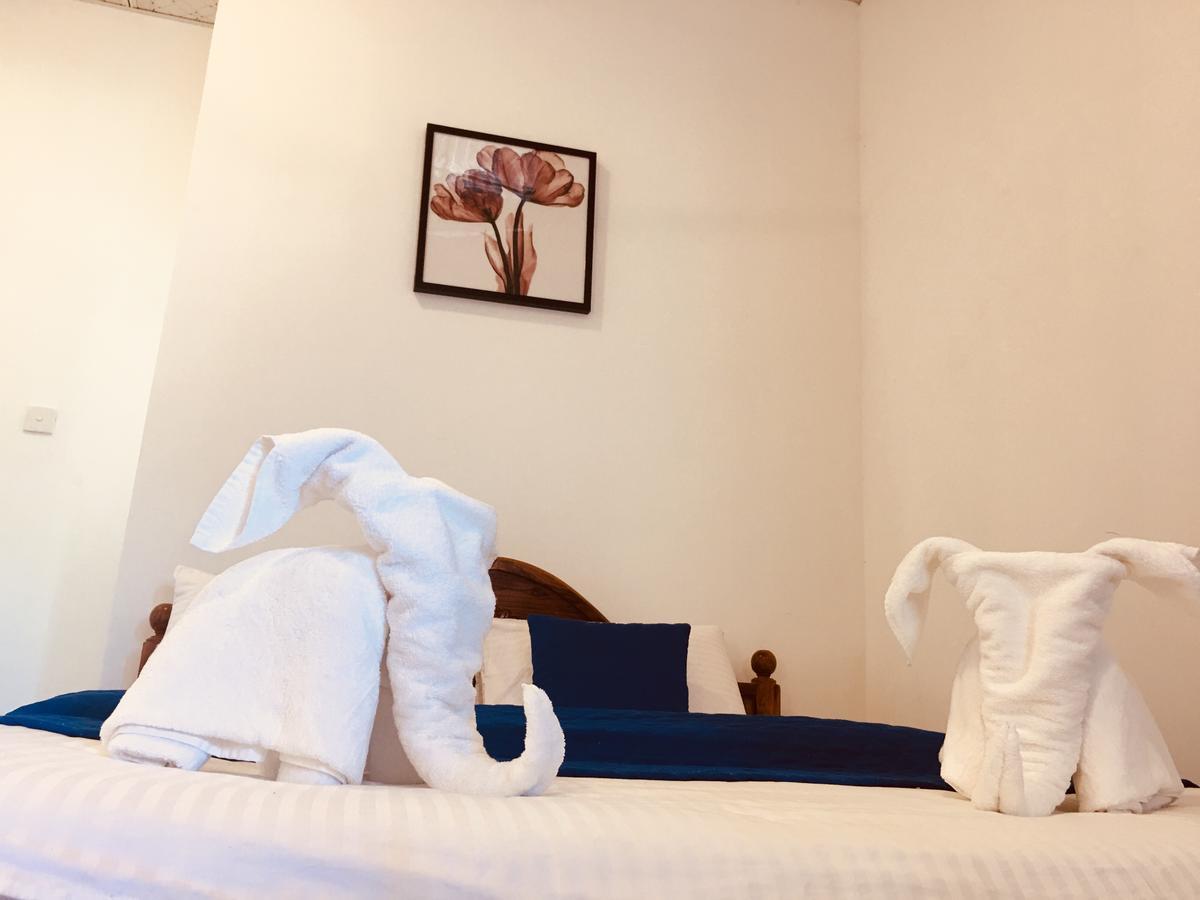 Blue Whale Holiday Hotel Мирисса Экстерьер фото